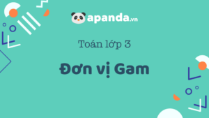 đơn vị gam